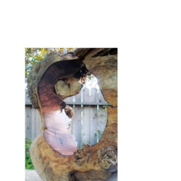 "Wood Sculpture ""Sun" - thumbnail 4