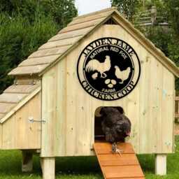 Personalized Chicken Coop Metal Sign, Rustic Farmhouse Wall Art, Gift For Farmers - thumbnail 3