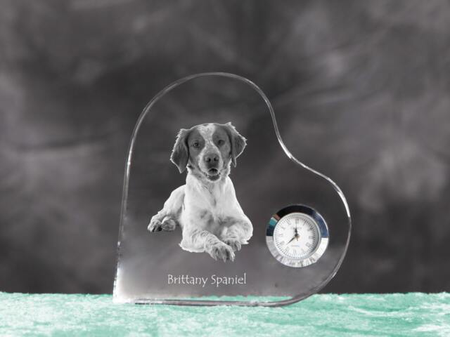 Brittany Spaniel - Crystal Clock in The Shape Of A Heart With Image Pure-Bred Dog - image 1