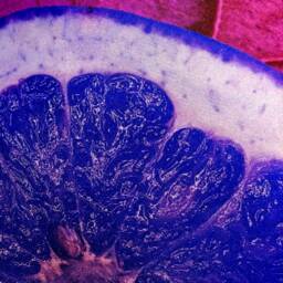 Purple Orange Scarf Pillow - Purple/Pink - thumbnail 4