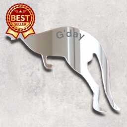 Engraved Acrylic Mirror Wall Art Custom Shapes & Colors