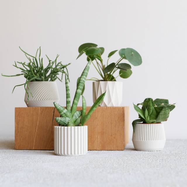 Set Of 4 Small Indoor Planters White - Original Planter Gift - image 1