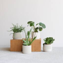 Set Of 4 Small Indoor Planters White - Original Planter Gift - thumbnail 2