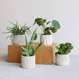 Set Of 4 Small Indoor Planters White - Original Planter Gift - thumbnail 3