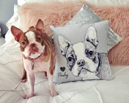 Custom Dog Pillow, Personalized Pet Cat Pillow Cover, Memorial, Loss Gift, Lovers Memorial - thumbnail 1