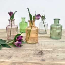 Small Glass Bottle Vase, Bud Coloured Vases, Table Decor, Spring Decor Gift, Paris Green, Mauve, Apricot, Dark Clear - thumbnail 3