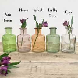 Small Glass Bottle Vase, Bud Coloured Vases, Table Decor, Spring Decor Gift, Paris Green, Mauve, Apricot, Dark Clear - thumbnail 2