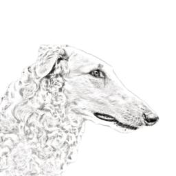 Borzoi, Russian Wolfhound - Wooden Stand For Candles/Pens With The Image Of A Dog New Collection - thumbnail 2