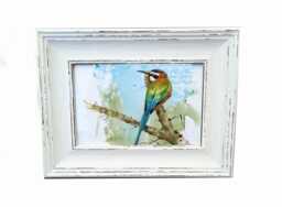 Bee Eater Print 17x12cm - Rustic Frame - Exotic Bird Wall Art, Gift For Wildlife Lovers - thumbnail 1