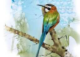 Bee Eater Print 17x12cm - Rustic Frame - Exotic Bird Wall Art, Gift For Wildlife Lovers - thumbnail 2