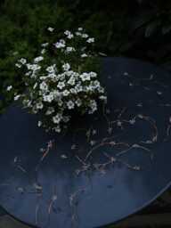 Solar Star Light Garland