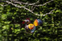 T-Lights Farm/Countryside Animal Inspired. Garden Decoration. Hanging Outdoor Candle Holders - 2-1 - thumbnail 1