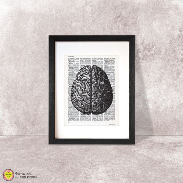 Human Brain Anatomy Print Victorian Dictionary Wall Art - image 1