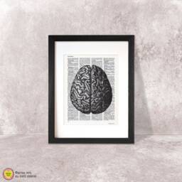 Human Brain Anatomy Print Victorian Dictionary Wall Art - thumbnail 1