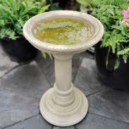 Adorable Stonecast Regency Birdbath