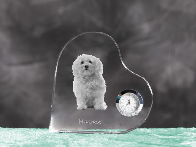 Havanese - Crystal Clock in The Shape Of A Heart With Image Pure-Bred Dog - image 1