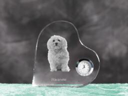 Havanese - Crystal Clock in The Shape Of A Heart With Image Pure-Bred Dog - thumbnail 1