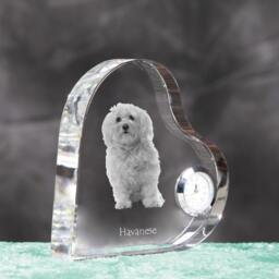 Havanese - Crystal Clock in The Shape Of A Heart With Image Pure-Bred Dog - thumbnail 3