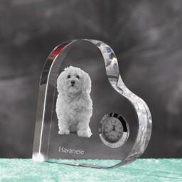 Havanese - Crystal Clock in The Shape Of A Heart With Image Pure-Bred Dog - thumbnail 2