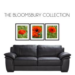 Gallery Wall Frame Set - Photo Of 3 Picture Frames To Create The Perfect - thumbnail 3