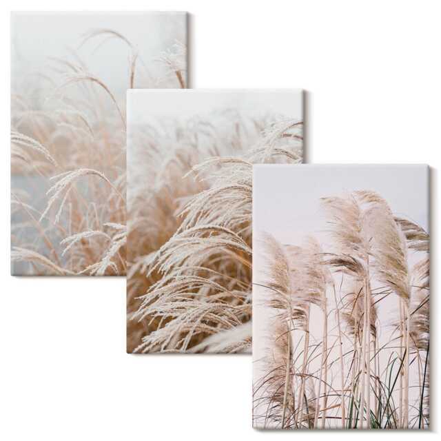 Canvas Wall Art Set Of 3 - Fields Grass in Delicate Shades Brown & Beige, Beige Print, Plants Flowers Hanging Piece - image 1