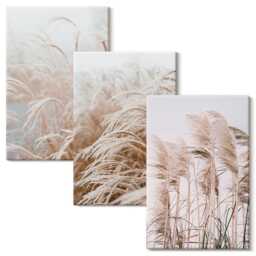 Canvas Wall Art Set Of 3 - Fields Grass in Delicate Shades Brown & Beige, Beige Print, Plants Flowers Hanging Piece