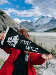 stay Wild Wolf Pennant Flag/Felt Pennant Wall Hanging Banner Gallery Outdoors Husky Adventure Kids Bedroom Wild Child - thumbnail 1