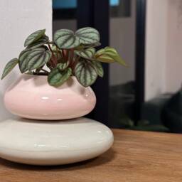 Mini Ceramic Planter, Pink & Green Plant Pot - thumbnail 4