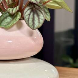Mini Ceramic Planter, Pink & Green Plant Pot - thumbnail 2