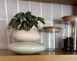 Mini Ceramic Planter, Pink & Green Plant Pot