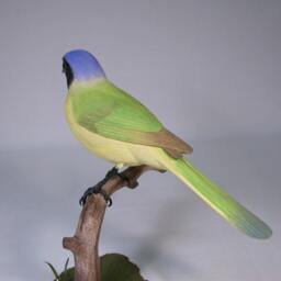 Green Jay Wooden Hand Carved Bird Carving - thumbnail 2