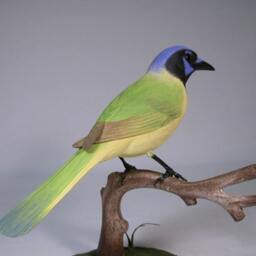 Green Jay Wooden Hand Carved Bird Carving - thumbnail 3