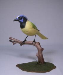 Green Jay Wooden Hand Carved Bird Carving
