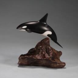 Orca Killer Whale By John Perry 6In Long Downtail Version Sculpture On Burlwood Base. Signed - thumbnail 2