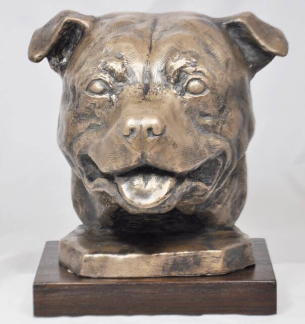 staffordshire Bull Terrier Head - Unique Dog Sculpture - image 1