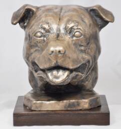 staffordshire Bull Terrier Head - Unique Dog Sculpture - thumbnail 1