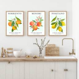 Citrus Fruit Print, Set Of 3 Italian Art Prints, Wall Art, Kitchen Home Decor, Posters - thumbnail 1