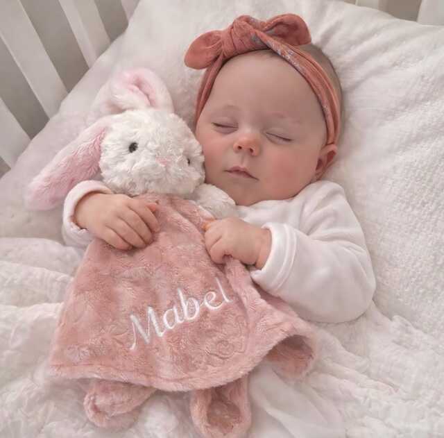 Embroidered Baby Comforter, Soft Blanket, Newborn Gift, Security Blanket, Personalised Baby Gift, Special Keepsake, Shower - image 1