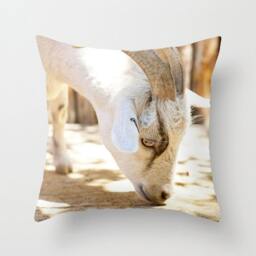 Goat Pillow - Farm Barn Cushion Yellow 16x16 18x18 20x20 Cover Animal Nursery - thumbnail 1