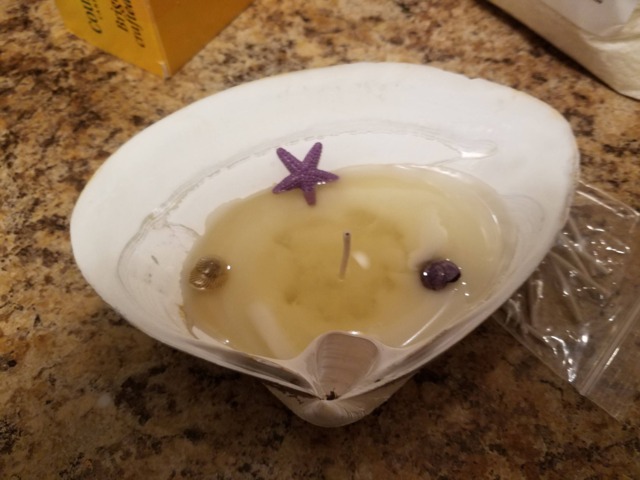 Shell Soy Candle