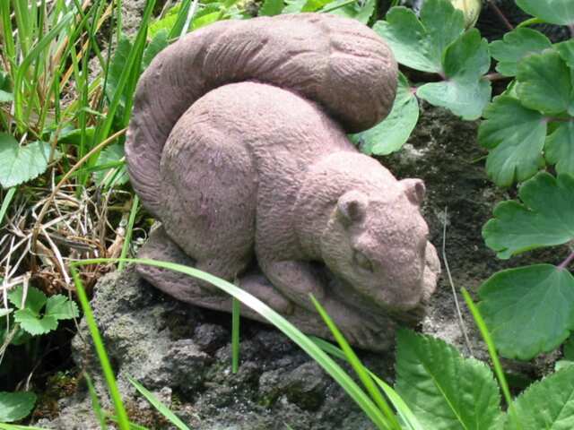Squirrel Animal Sculpture Figure Made Of Artificial Sandstone in Antique Look S 10 - image 1