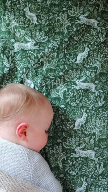 Woodland Changing Pad Cover Vintage Green Rifle Paper Cotton - image 1