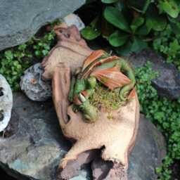 Dragon Sculpture On Driftwood - thumbnail 4