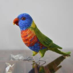 Mr. Rainbow Lorikeet, Life Size Needle Felted Bird Fiber Sculpture - thumbnail 2