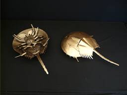 Horseshoe Crab Handmade Metal Sculpture - thumbnail 1
