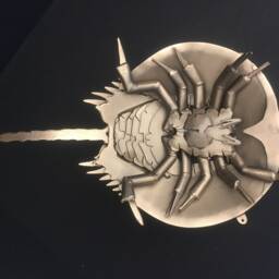 Horseshoe Crab Handmade Metal Sculpture - thumbnail 2
