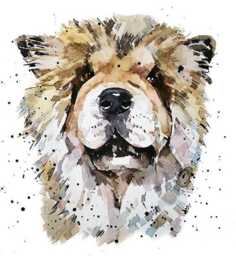 Chow Print 17x12cm - White Rustic Frame - Regal Dog Wall Art, Gift For Owners - thumbnail 3