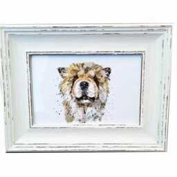 Chow Print 17x12cm - White Rustic Frame - Regal Dog Wall Art, Gift For Owners - thumbnail 2