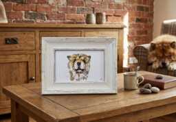 Chow Print 17x12cm - White Rustic Frame - Regal Dog Wall Art, Gift For Owners - thumbnail 1