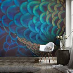 Blue Feather Texture Wallpaper, Dreamy Wall Mural - Peel & Stick - thumbnail 3
